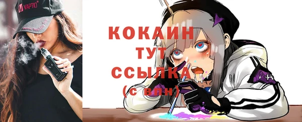 гидропоника Дмитриев