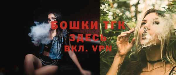 гидропоника Дмитриев