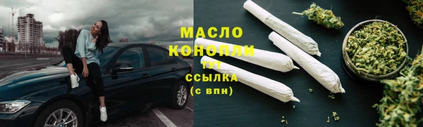 гидропоника Дмитриев
