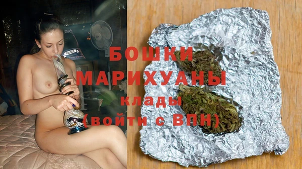 гидропоника Дмитриев
